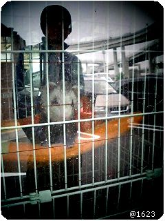 060424_1.jpg