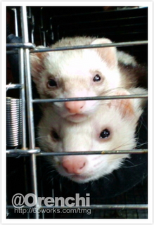 20100213_1.jpg